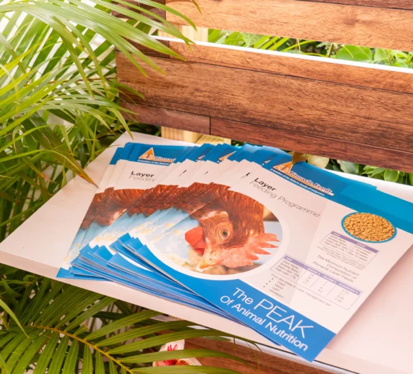 Trade Innovation Expo-061