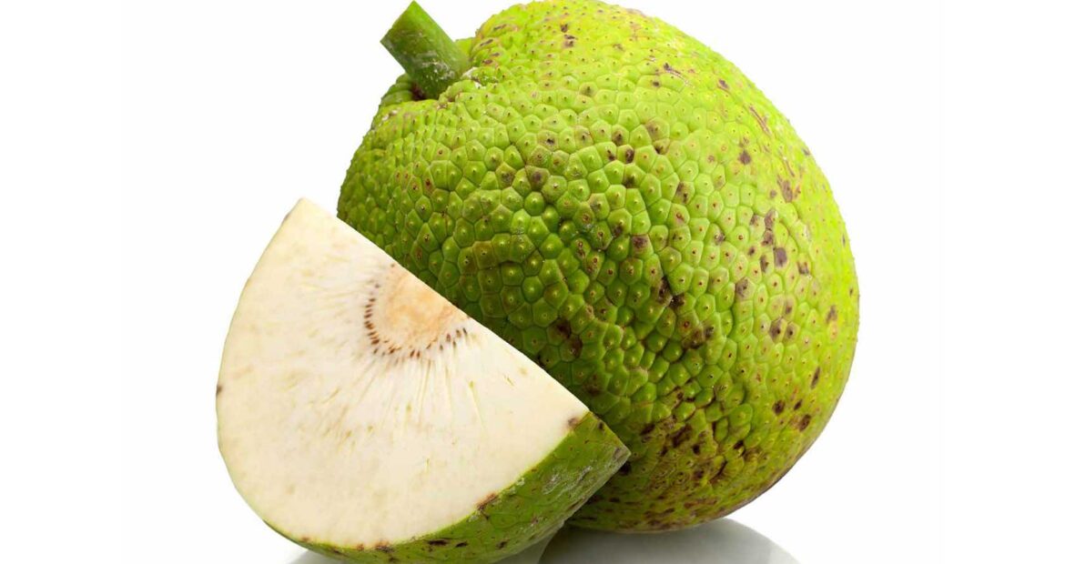 recipe_breadfruit-cou-cou recipe_breadfruit-cou-cou