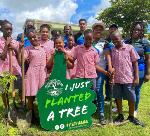 Tree Planting Pic 13