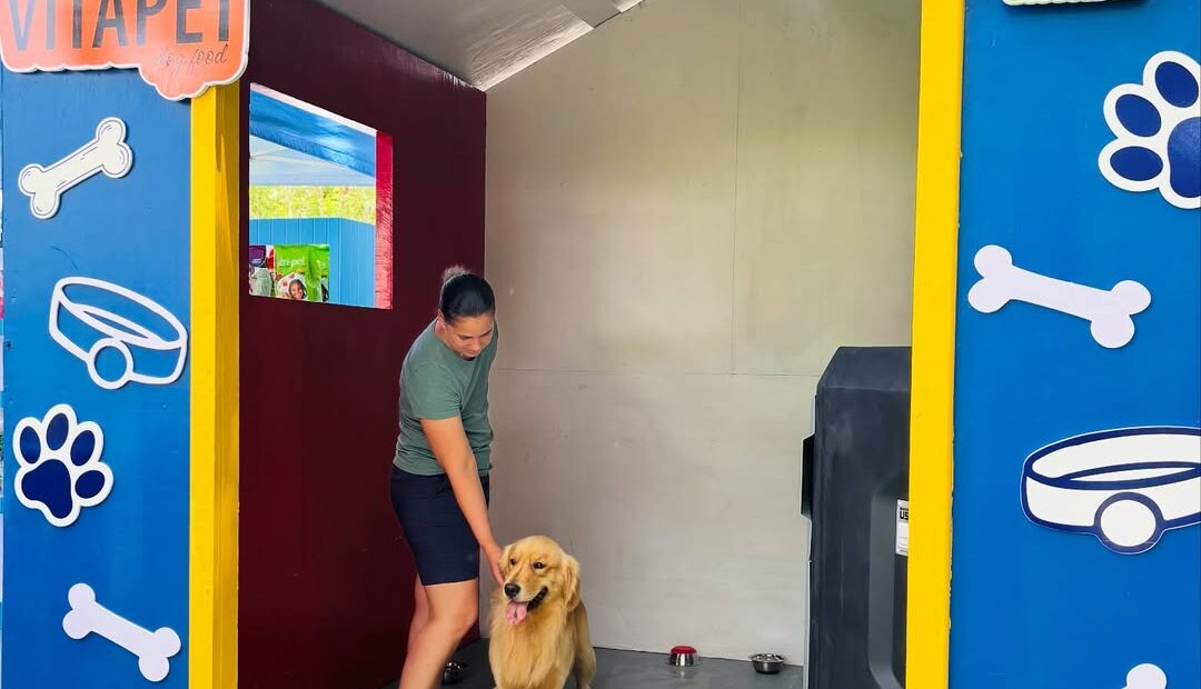 Kennel Club All Breeds Dog Show (1) Kennel Club All Breeds Dog Show (1)