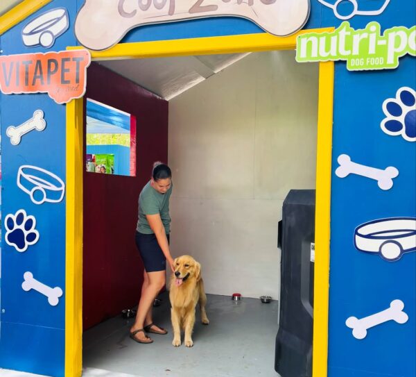 Kennel Club All Breeds Dog Show (1) Kennel Club All Breeds Dog Show (1)