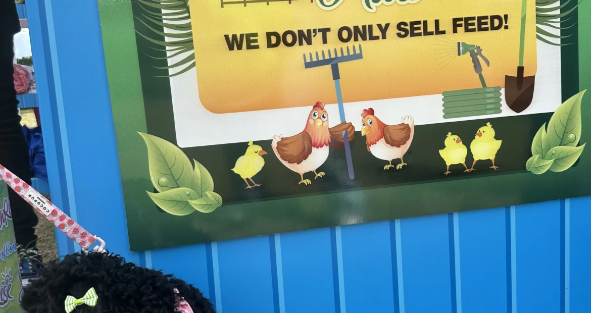 PAWS for Health_4 PAWS for Health_4