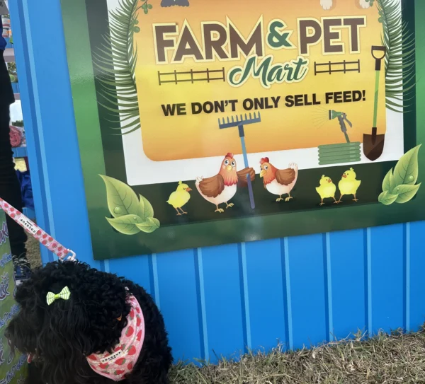 PAWS for Health_4 PAWS for Health_4