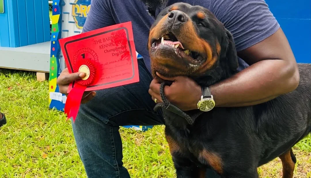 Kennel Club All Breeds Dog Show (5)